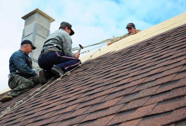 Best Emergency Roof Repair  in Millville, DE